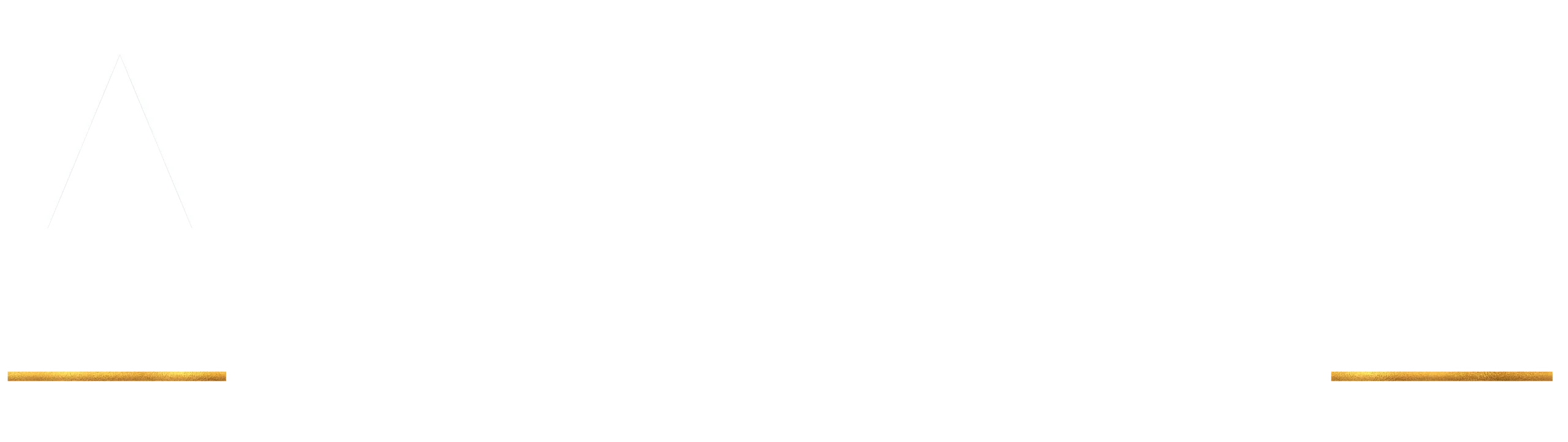 A stylized logo featuring the text 'ALIGHT NOW' in bold white letters with a yellow underline.